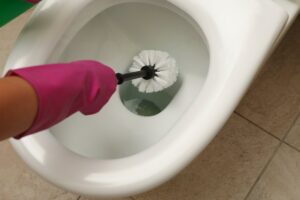 Toilet Flapper Valve Replacement