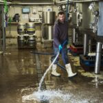 Basement Dehumidifier Problems