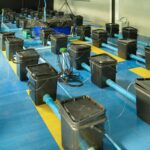 Sump Pump Maintenance Guide