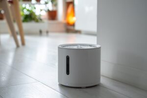 Basement Dehumidifier Troubleshooting