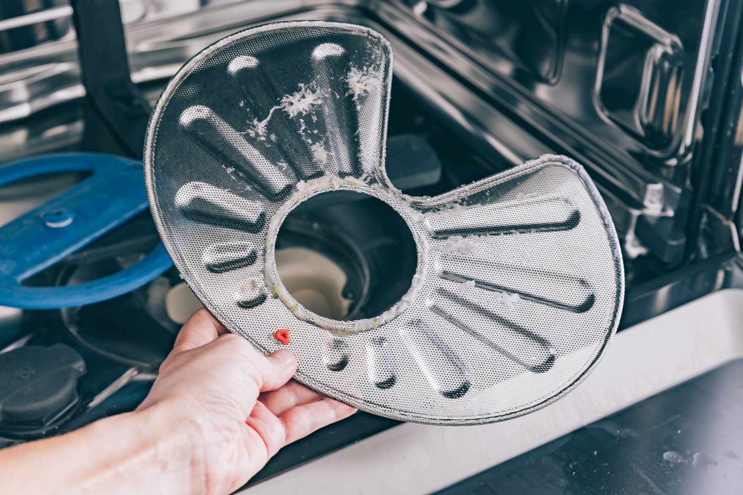 Dishwasher Not Draining Solutions
